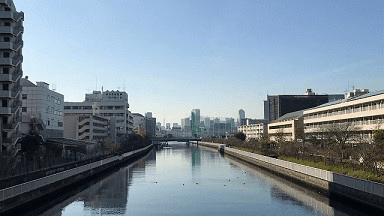 東京保健医療専門職大学